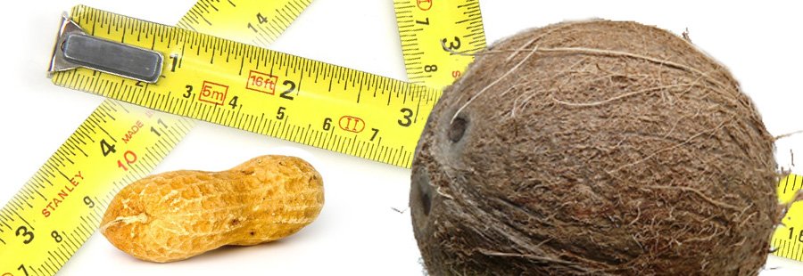 Creating special formats, individual roll & sheet sizes in V8