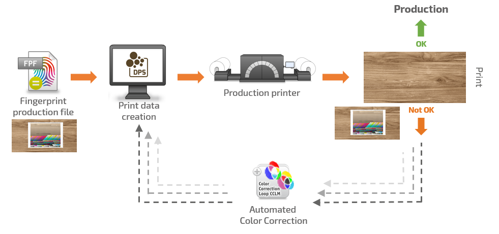 Décor reproduction with automated color correction